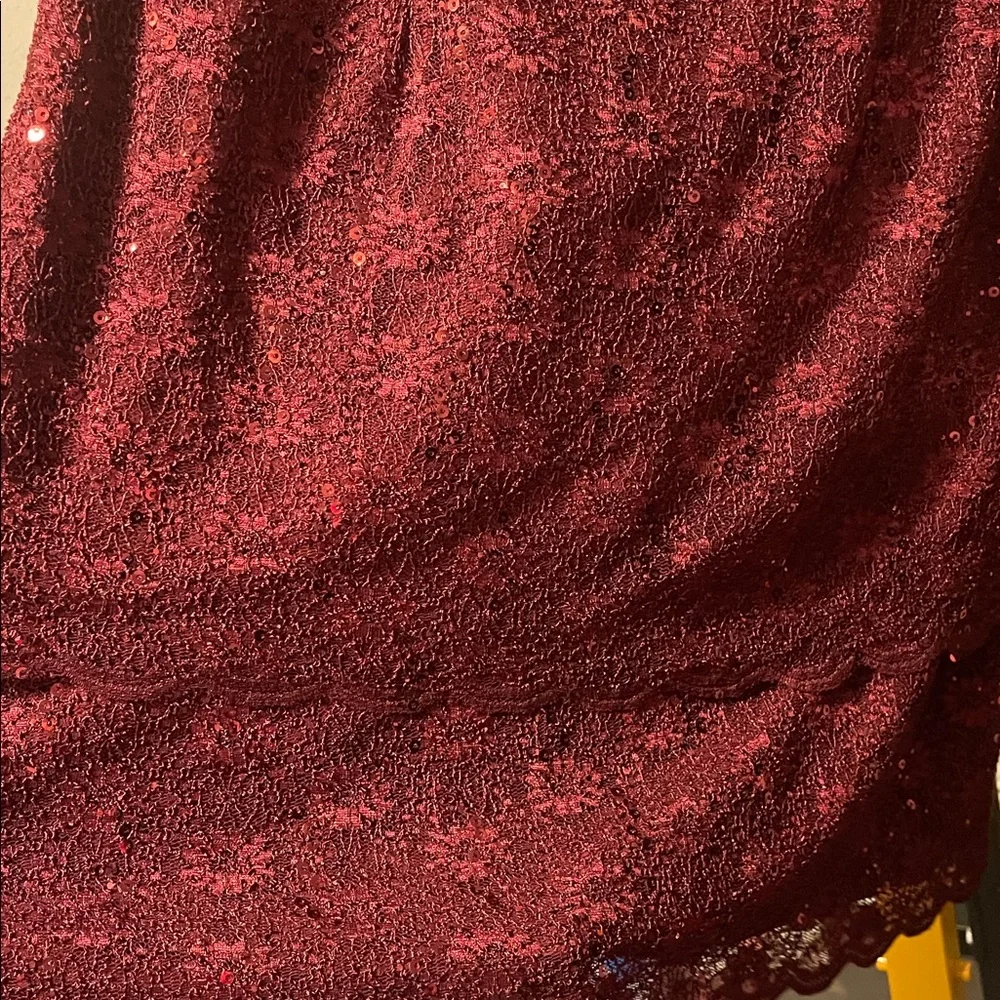 Alex Evenings Burgundy Sequin Lace Mini Dress - Picture 7 of 9